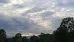 蓝天绿野