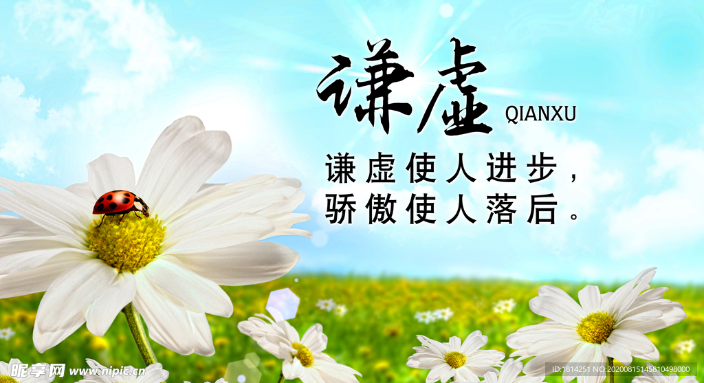 蓝天白云草地绿色环保菊花谦虚