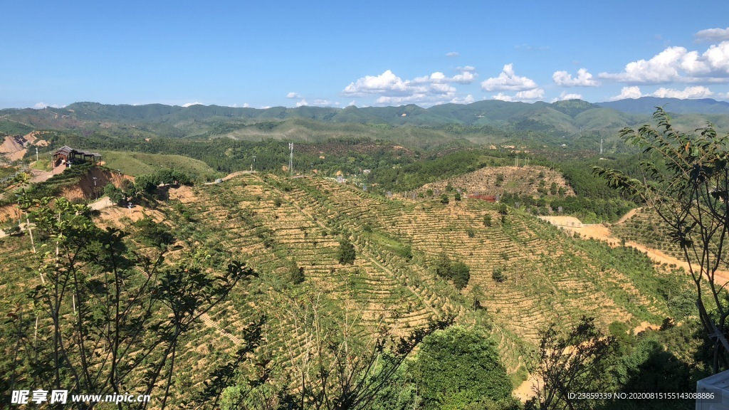 茶山