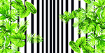 热带植物