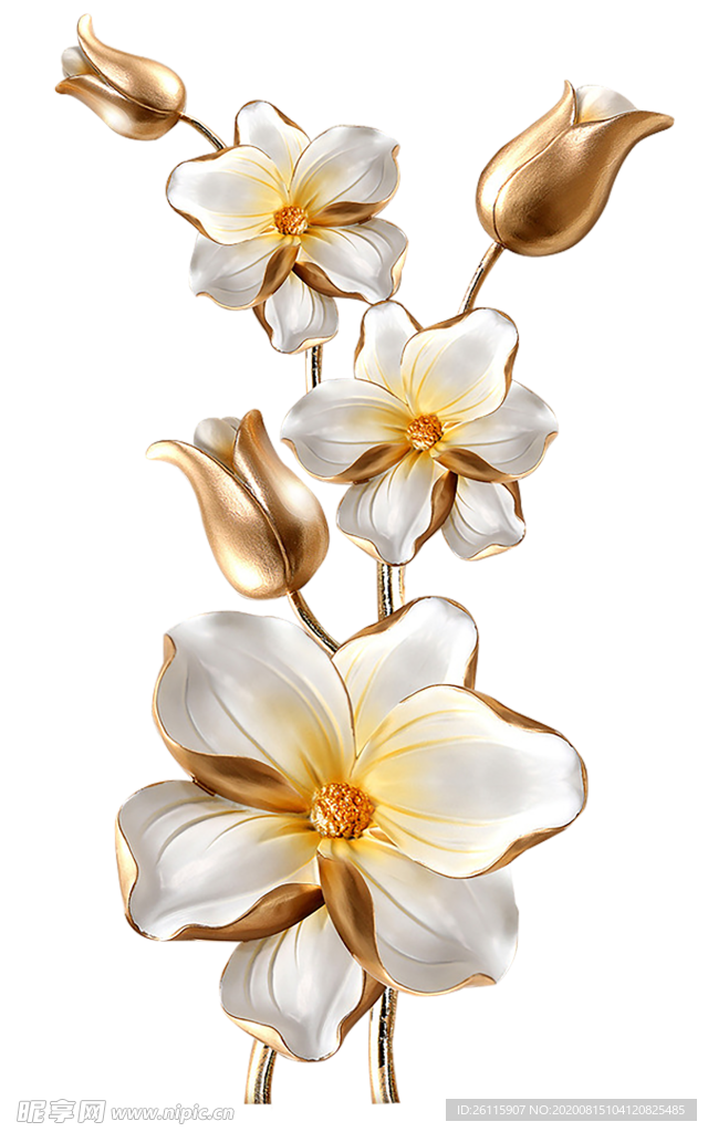 玫瑰花