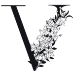 字母V