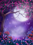 梅花 暗梅花