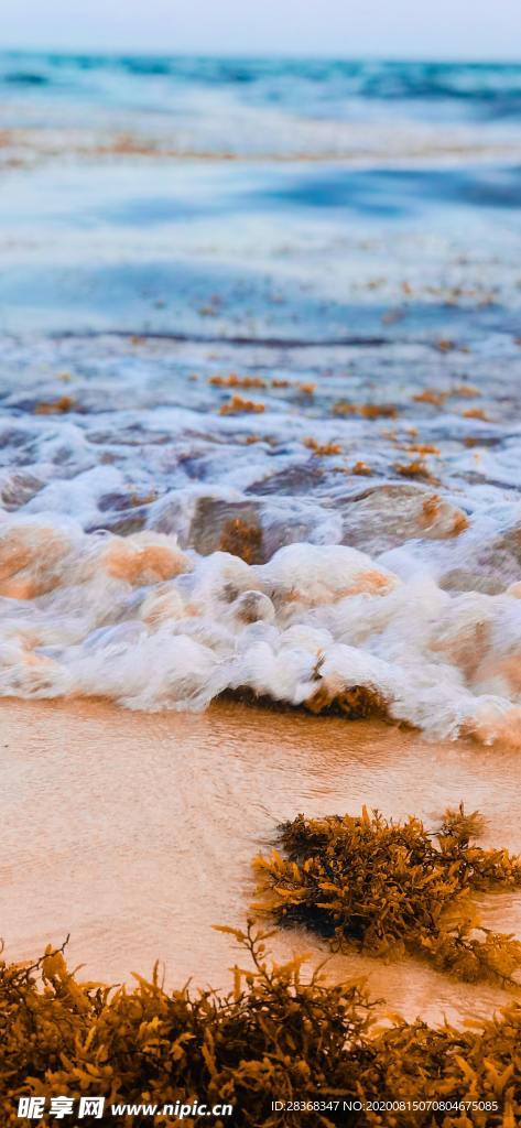 浪花泡沫