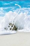 浪花泡沫