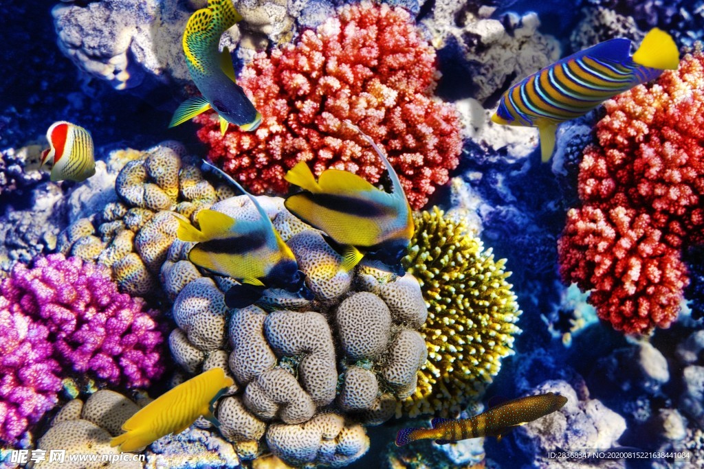 海底