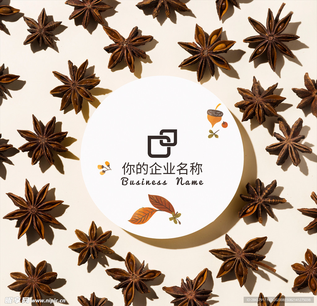LOGO样机