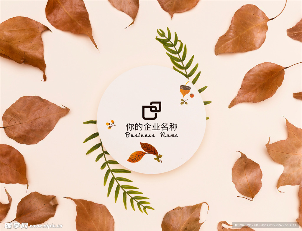 LOGO样机
