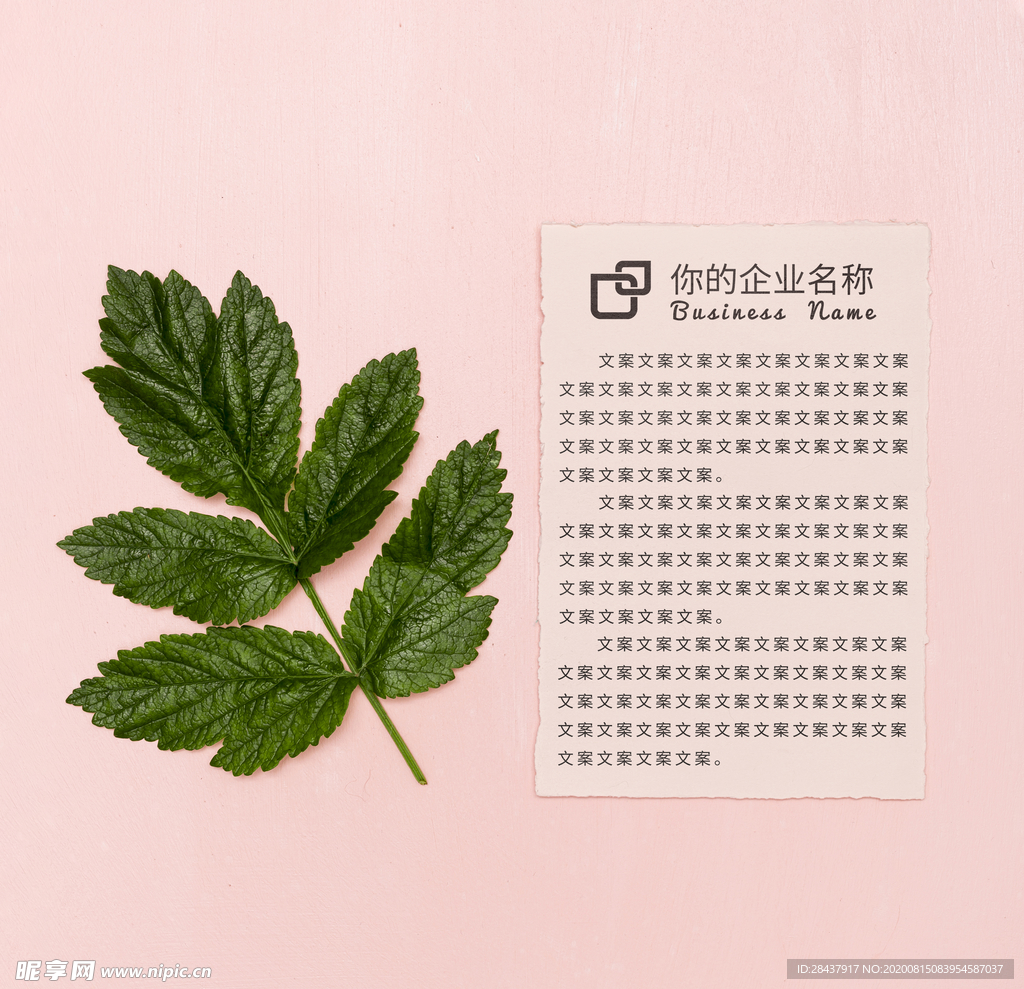 纸张样机