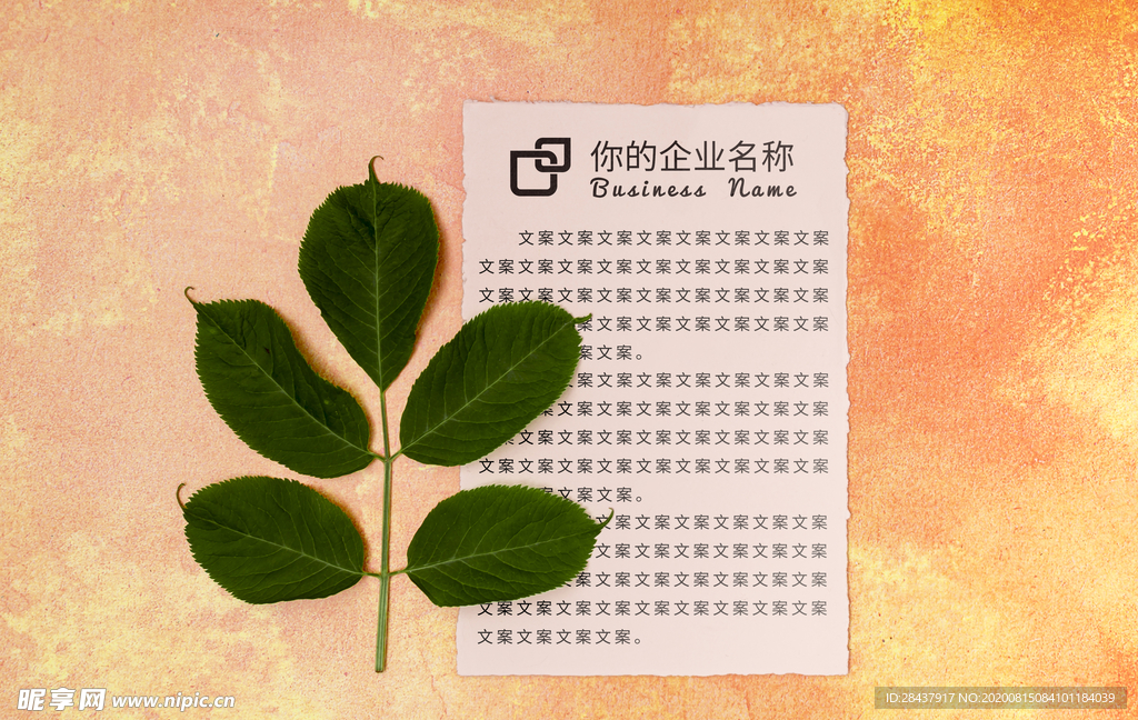 纸张样机