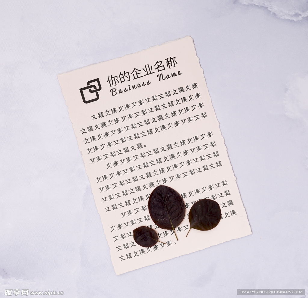 纸张样机