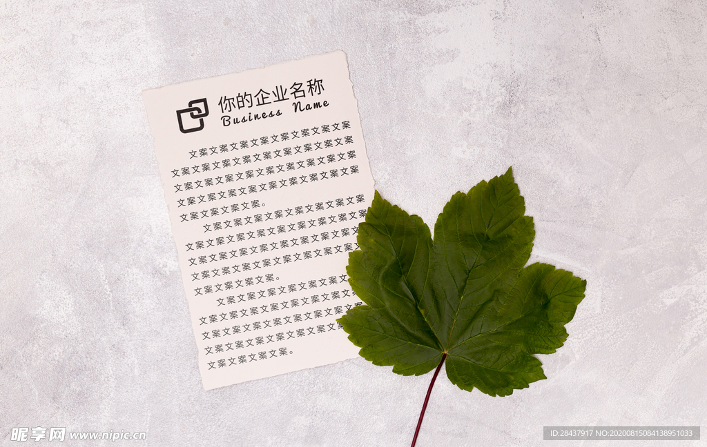 纸张样机