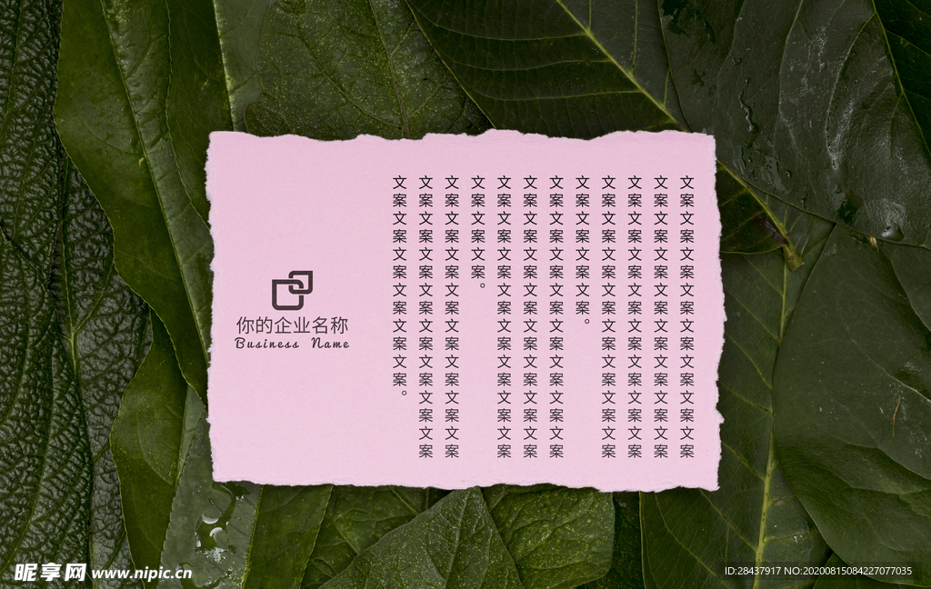 纸张样机