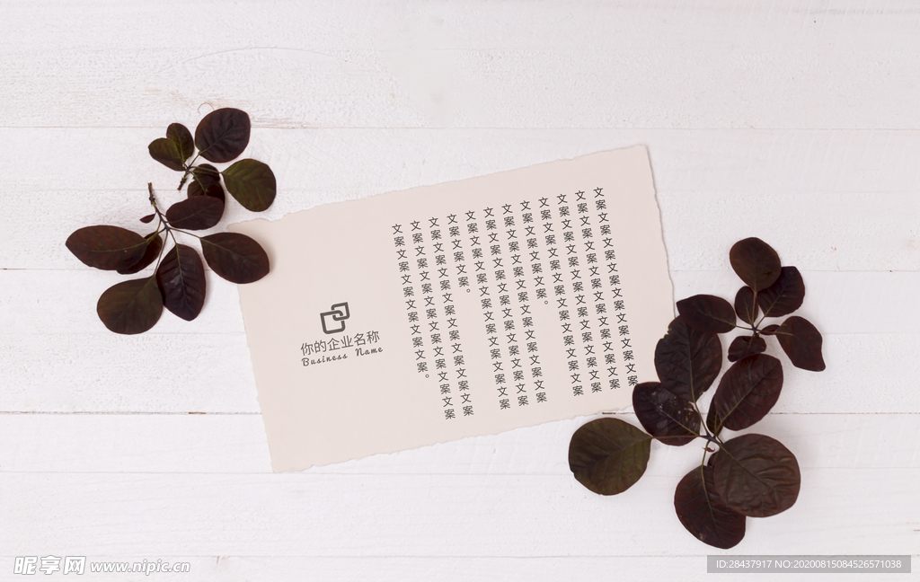 纸张样机