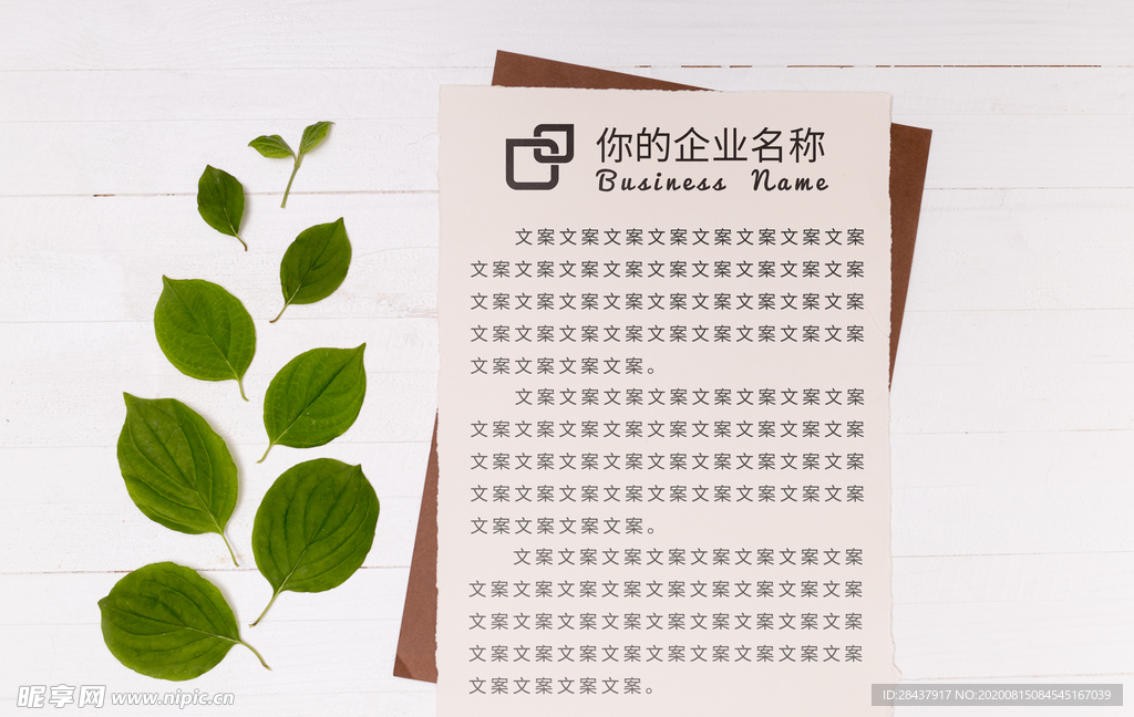 纸张样机
