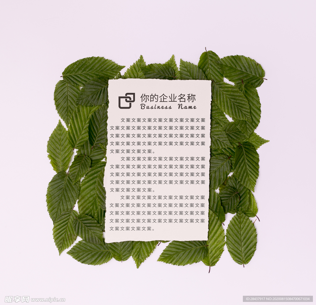 纸张样机