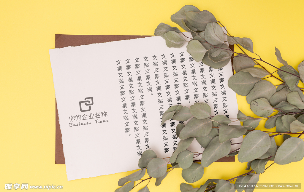 纸张样机