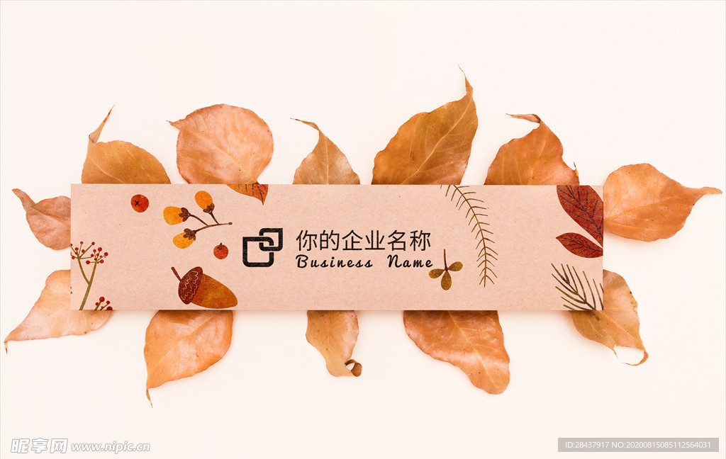 纸张样机