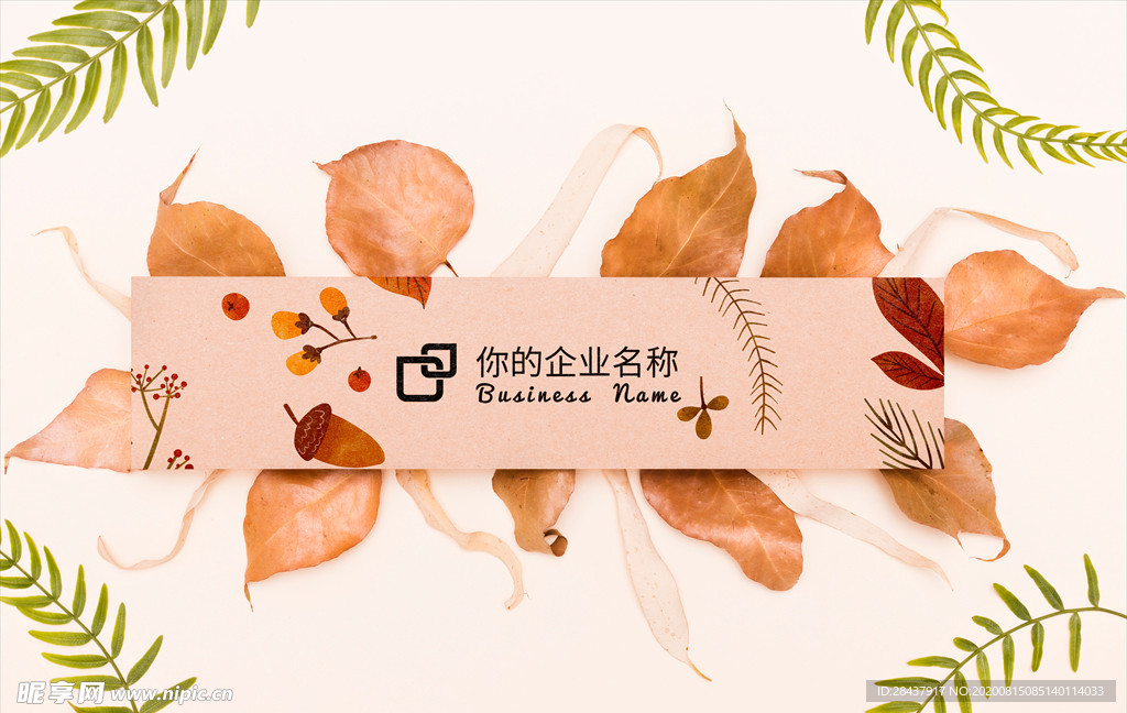 纸张样机
