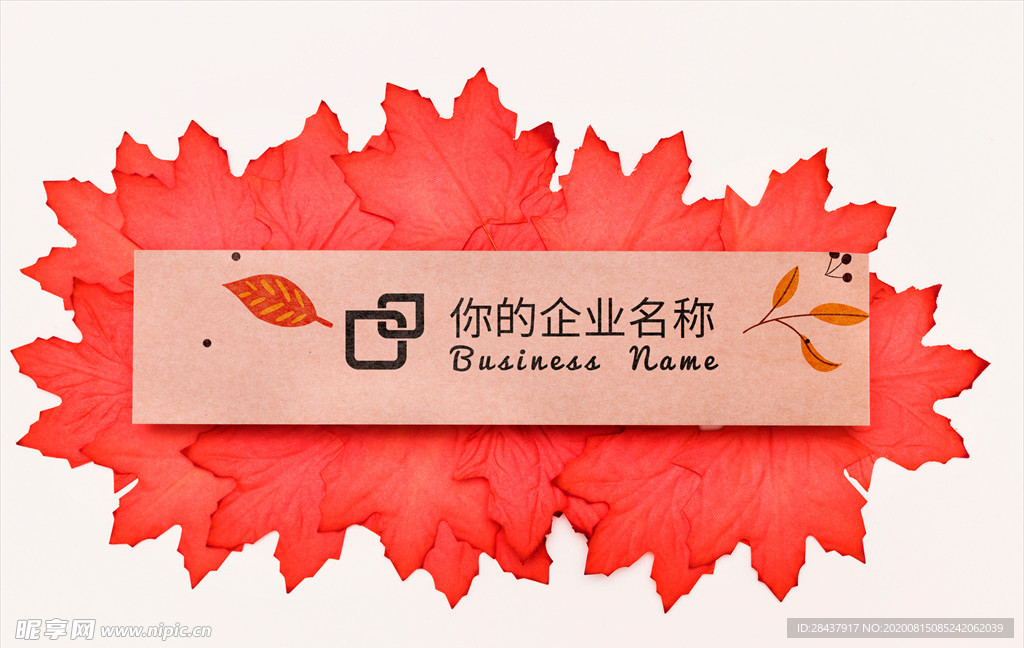 纸张样机