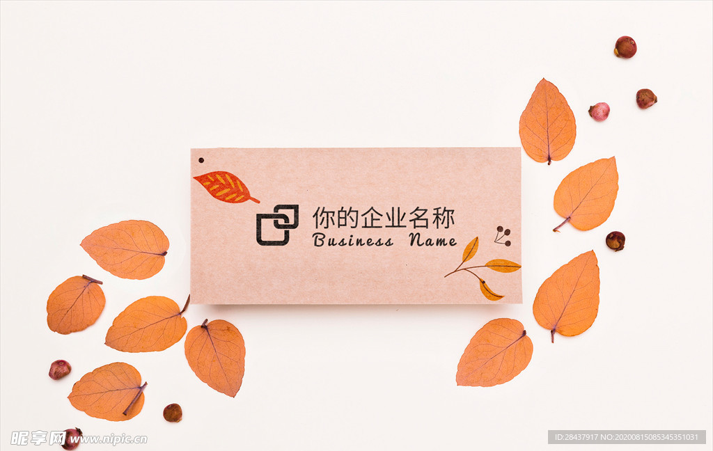 纸张样机