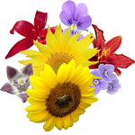 花