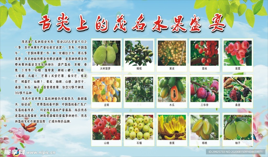 舌尖上的茂名水果盛宴