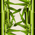 矢量动物 矢量植物 插画 手绘