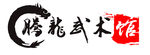 腾龙LOGO