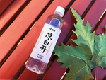 今麦郎凉白开秋日树叶