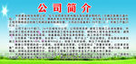 公司简介