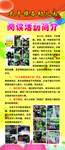 学校展版