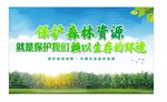 保护森林资源