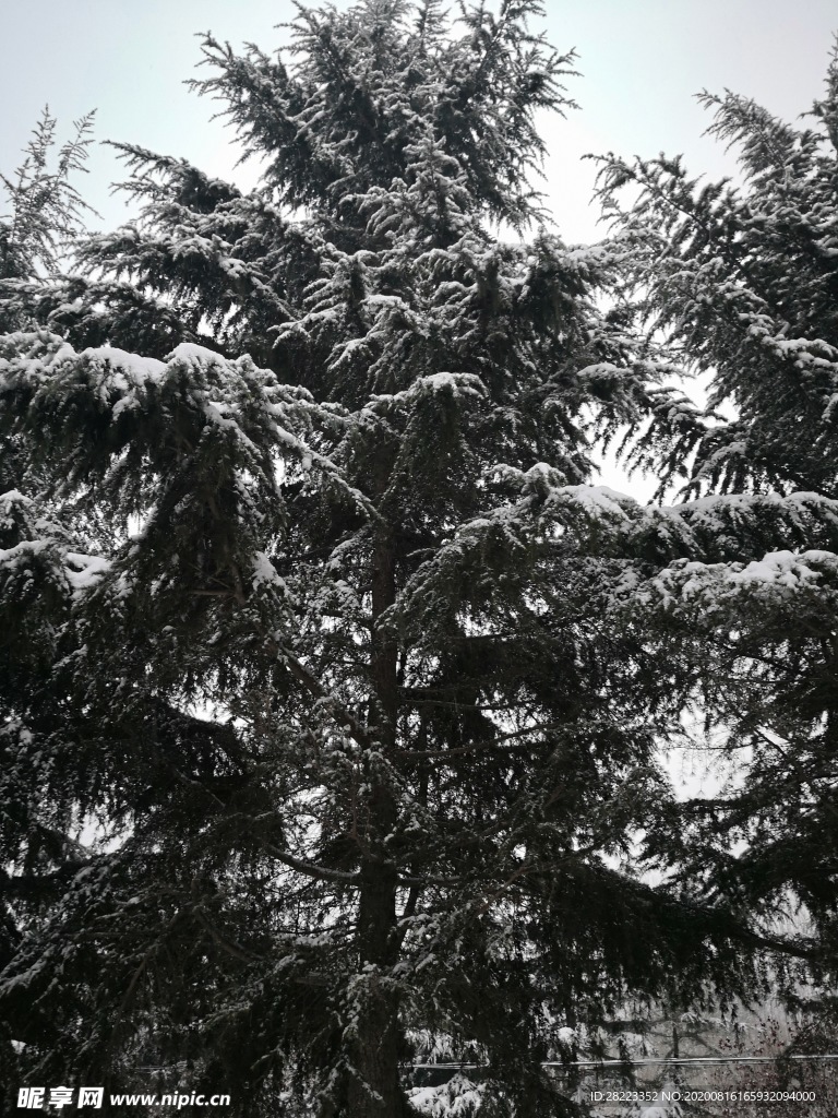 雪景素材图片