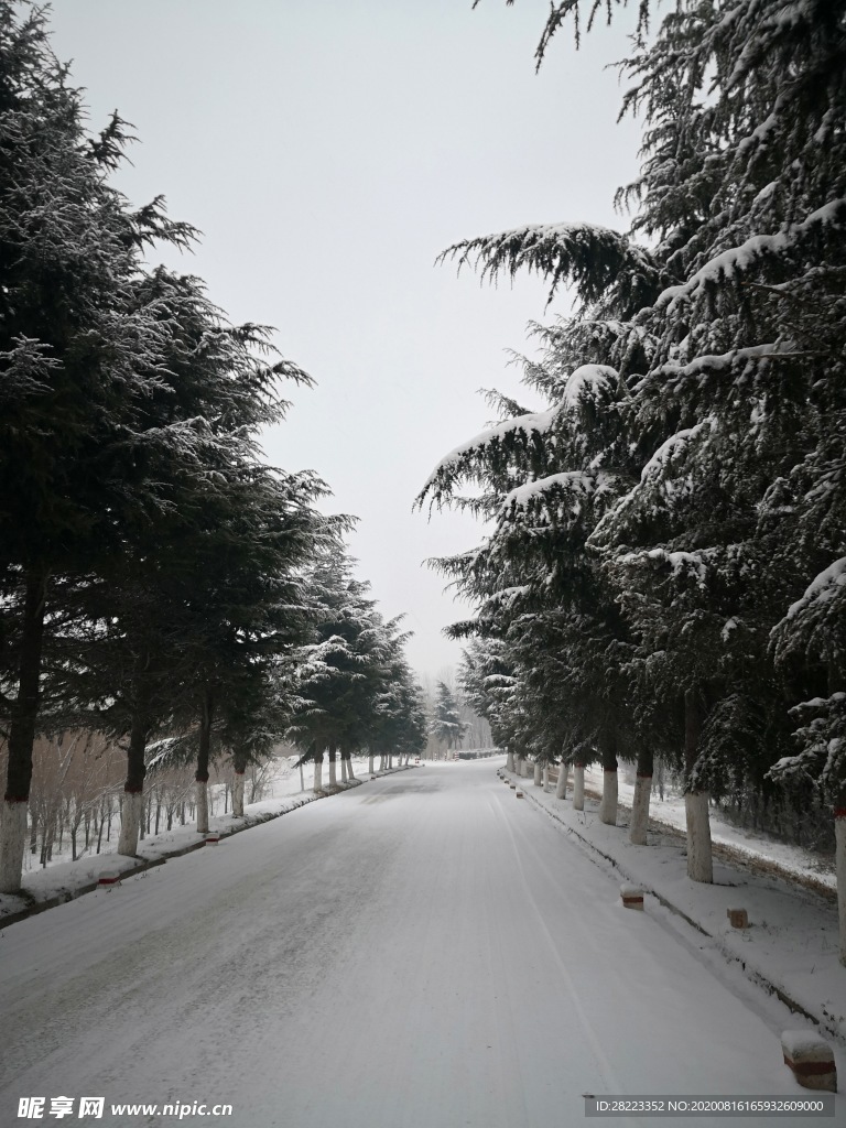 雪景