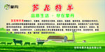 苏尼特羊