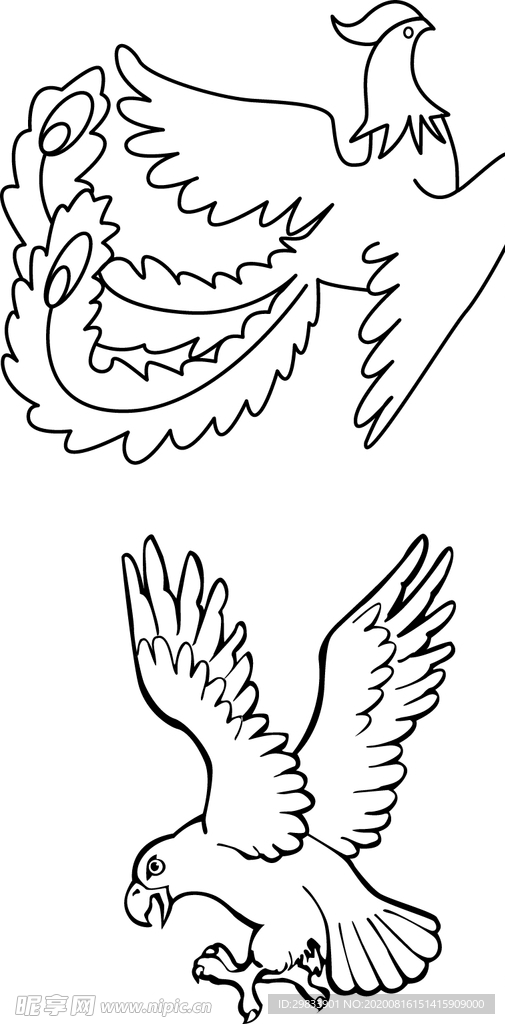 鸟