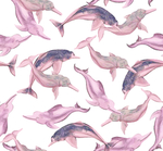 动物