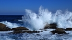海