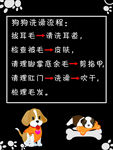 狗狗洗澡流程