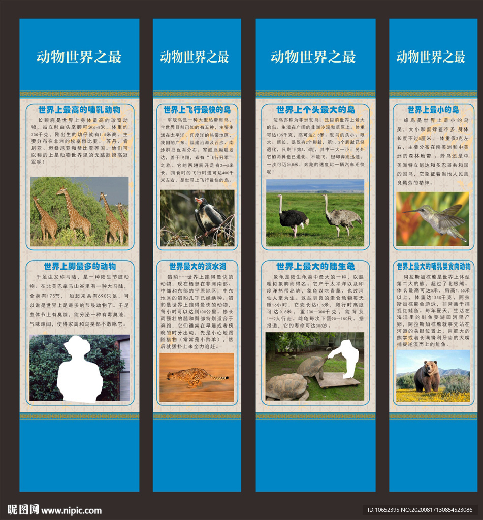 动物世界之最