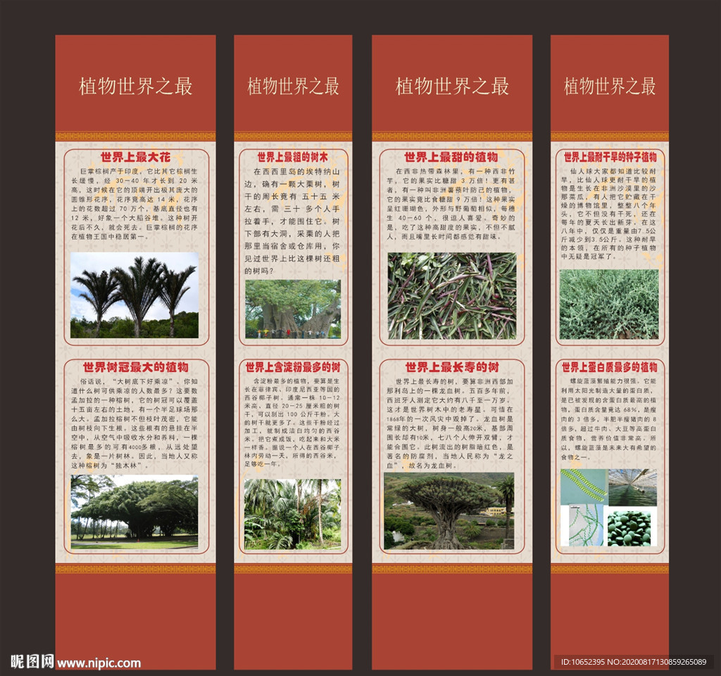 植物世界之最