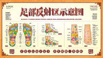 足部反射图