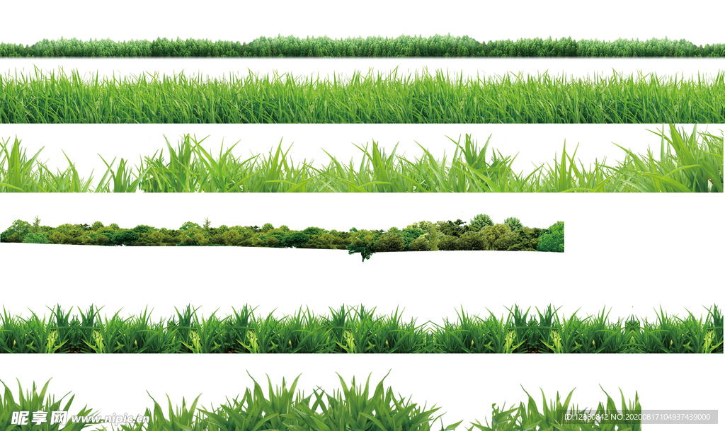 小草