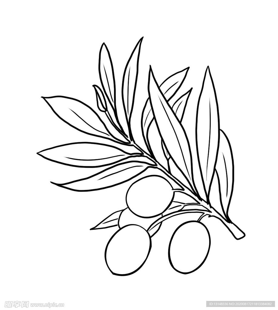 橄榄