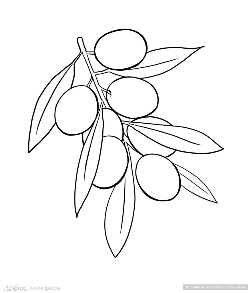橄榄