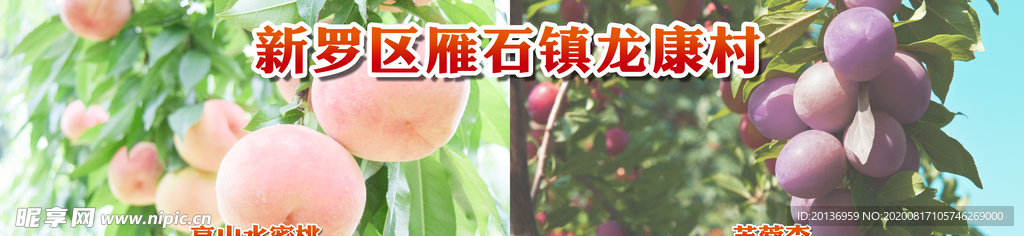 水蜜桃和芙蓉李