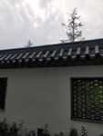 公园古建筑图片 园林一角 景色