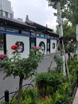 公园古建筑图片 园林一角 景色