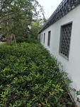 公园古建筑图片 园林一角 景色